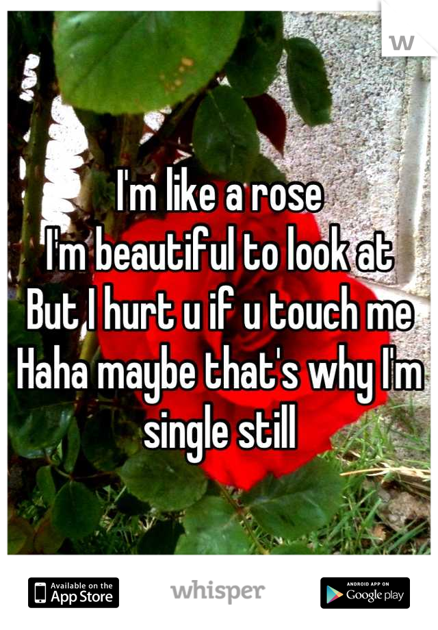 I'm like a rose 
I'm beautiful to look at
But I hurt u if u touch me
Haha maybe that's why I'm single still