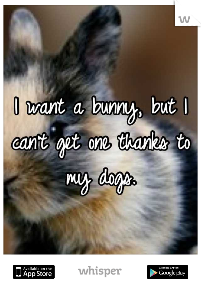 I want a bunny, but I can't get one thanks to my dogs.
