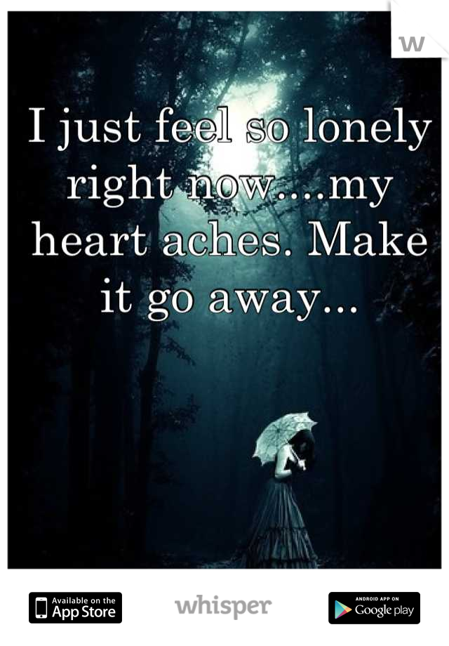 I just feel so lonely right now....my heart aches. Make it go away...