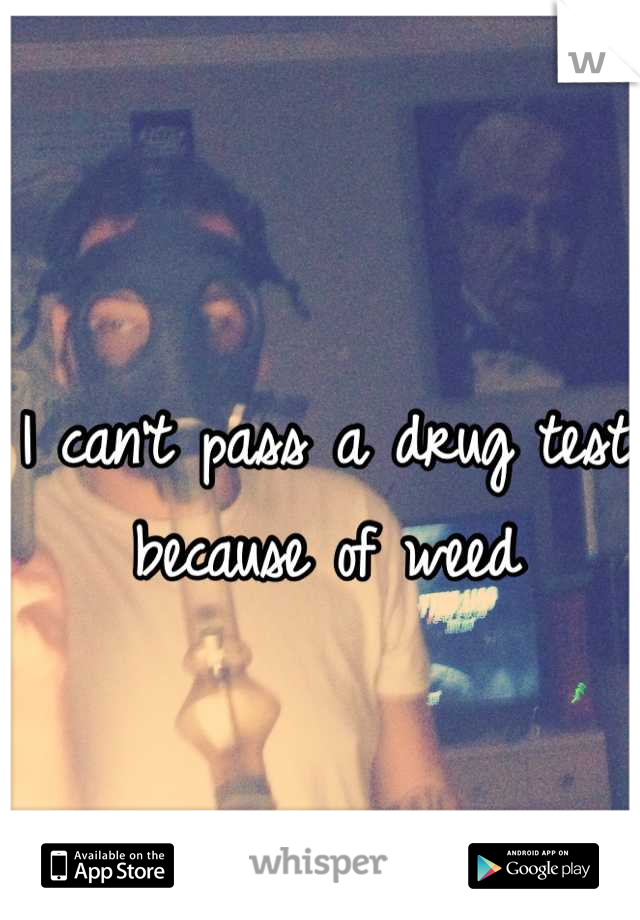 I can't pass a drug test because of weed