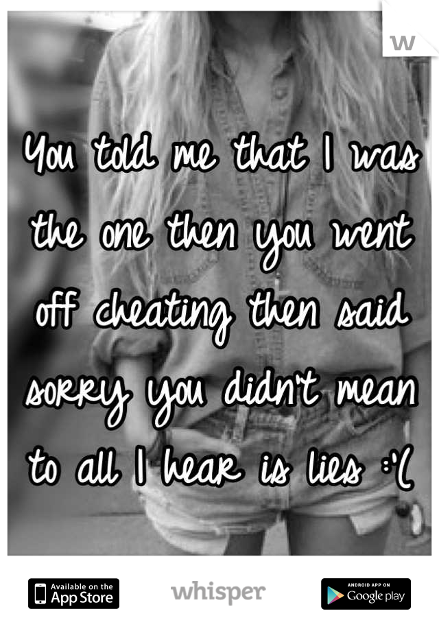 You told me that I was the one then you went off cheating then said sorry you didn't mean to all I hear is lies :'(