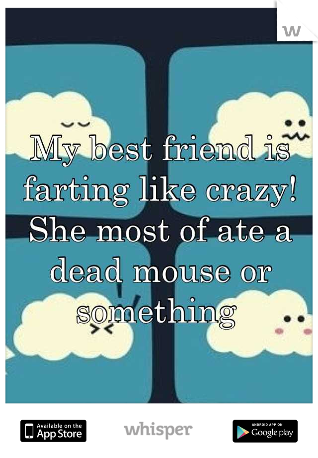 My best friend is farting like crazy! She most of ate a dead mouse or something 