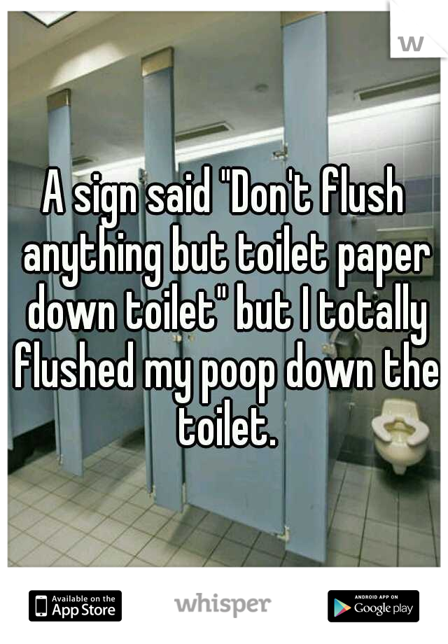 A sign said "Don't flush anything but toilet paper down toilet" but I totally flushed my poop down the toilet.