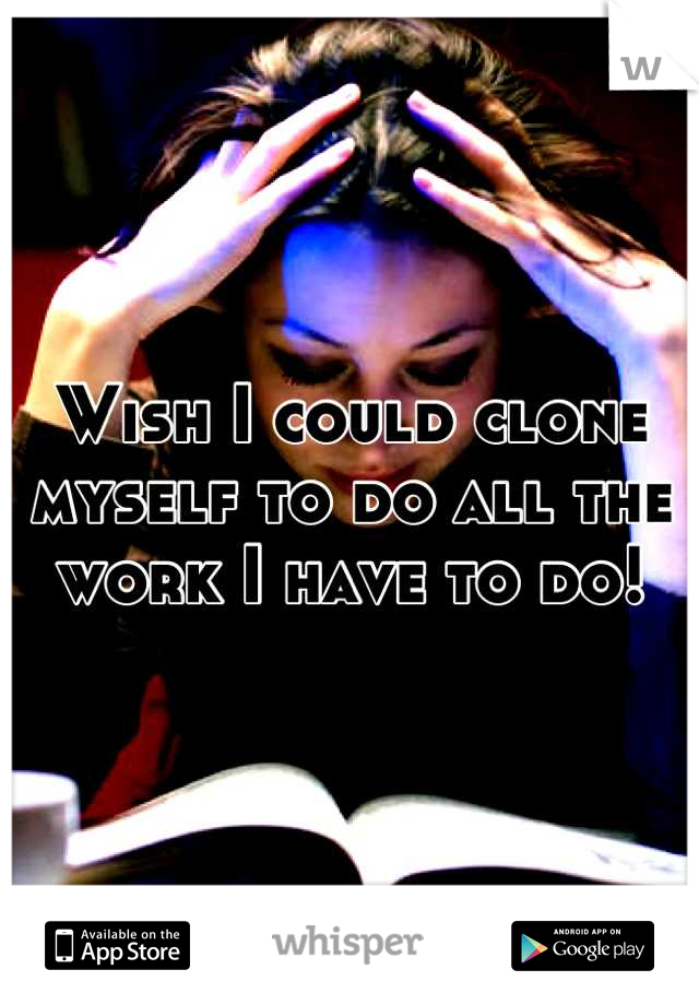 Wish I could clone myself to do all the work I have to do!