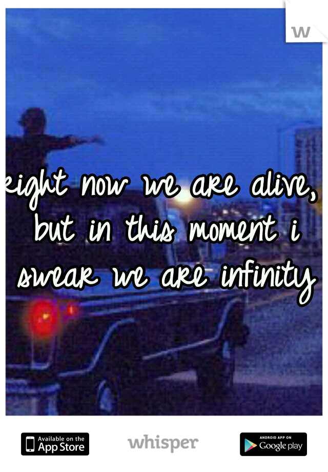 right now we are alive, but in this moment i swear
we are infinity