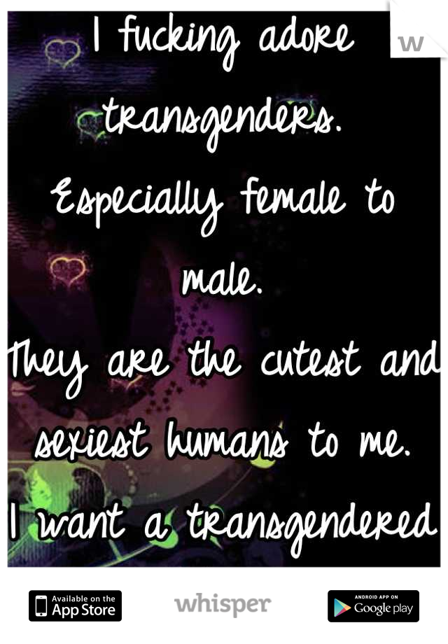I fucking adore transgenders. 
Especially female to male. 
They are the cutest and sexiest humans to me. 
I want a transgendered 'girl' as my boyfriend. <3