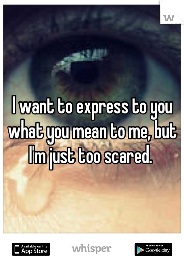 I want to express to you what you mean to me, but
I'm just too scared. 