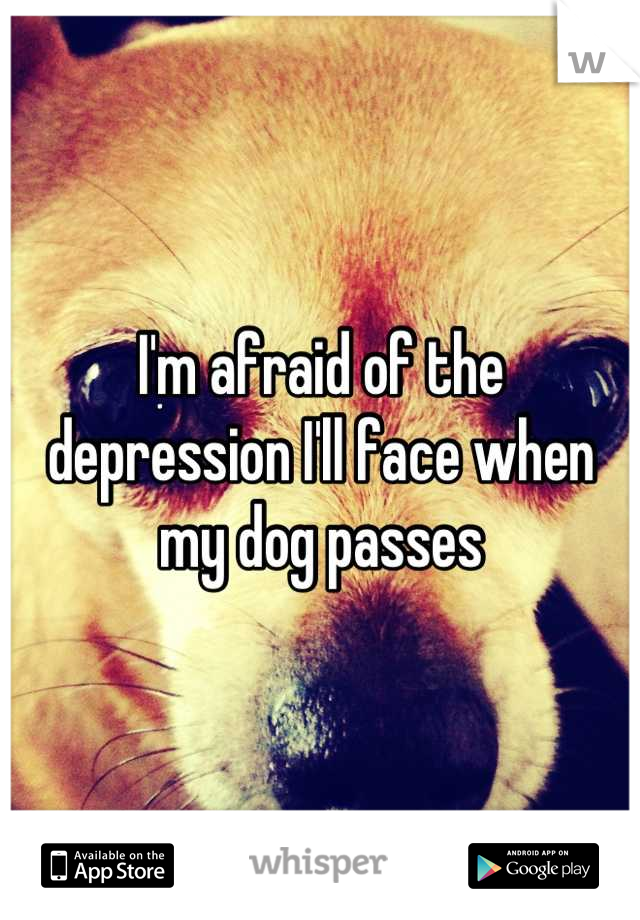 I'm afraid of the depression I'll face when my dog passes