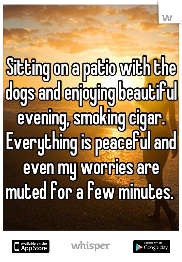 Sitting on a patio with the dogs and enjoying beautiful evening, smoking cigar. Everything is peaceful and even my worries are muted for a few minutes. 
