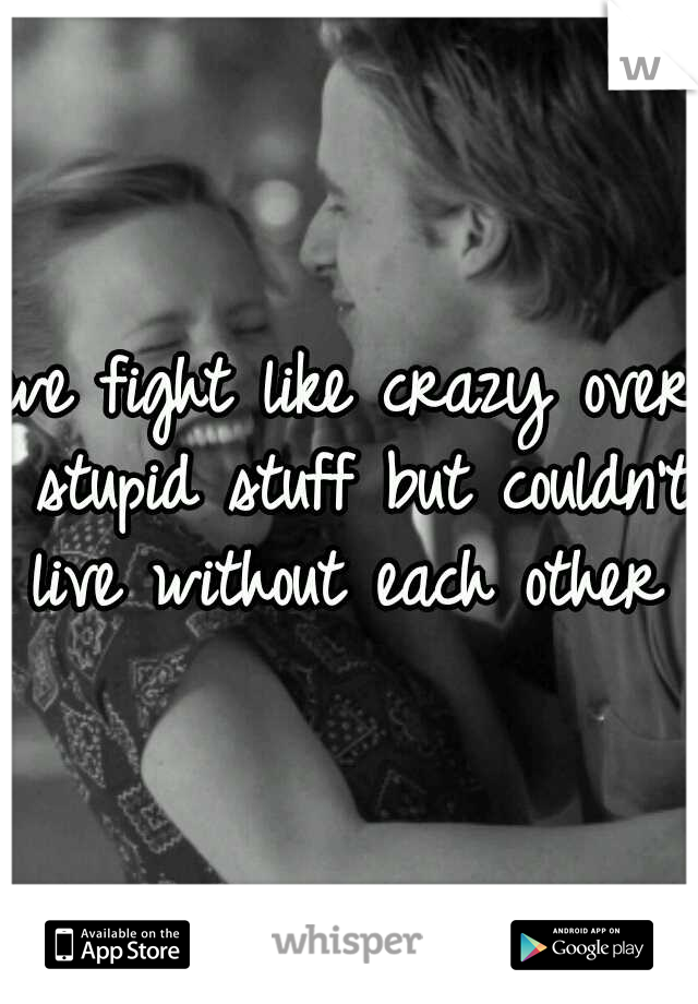 we fight like crazy over stupid stuff but couldn't live without each other 
