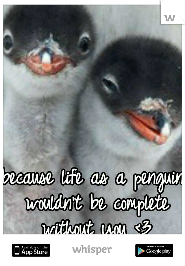 because life as a penguin wouldn't be complete without you <3