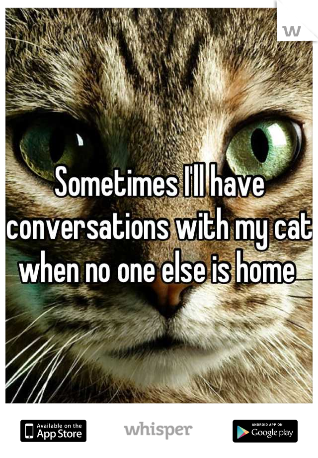 Sometimes I'll have conversations with my cat when no one else is home 