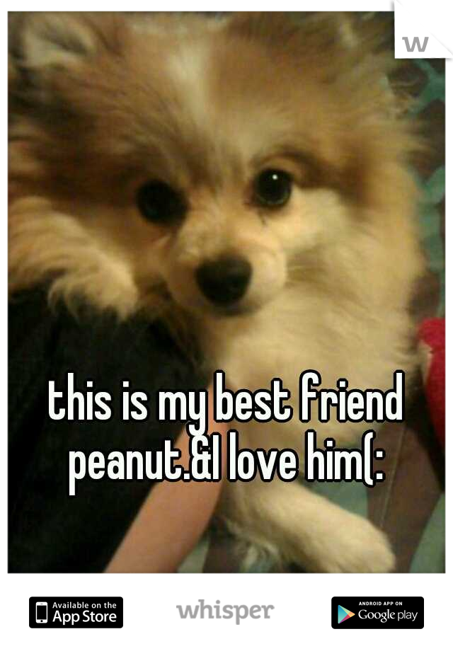 this is my best friend peanut.&I love him(: 