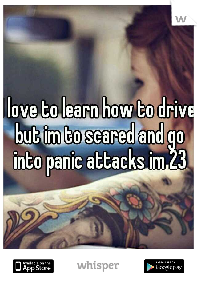 I love to learn how to drive but im to scared and go into panic attacks im 23