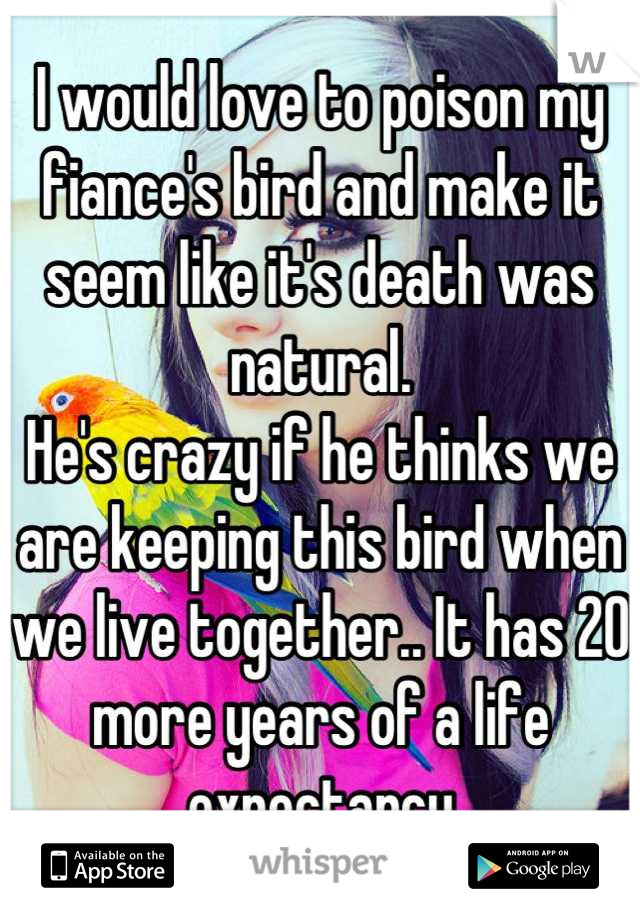 I would love to poison my fiance's bird and make it seem like it's death was natural.
He's crazy if he thinks we are keeping this bird when we live together.. It has 20 more years of a life expectancy