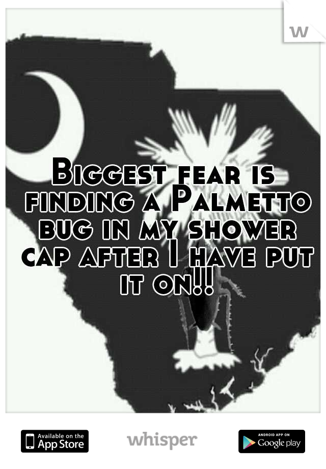 Biggest fear is finding a Palmetto bug in my shower cap after I have put it on!!