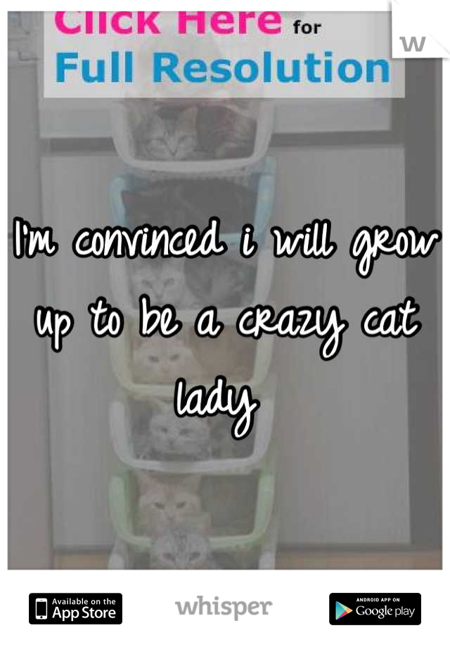 I'm convinced i will grow up to be a crazy cat lady 