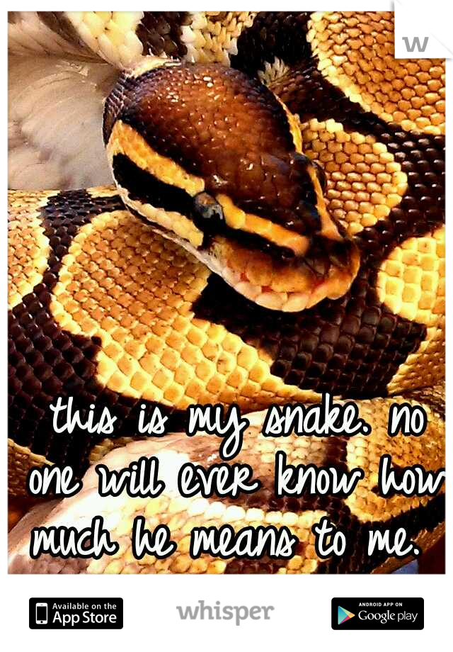 




































































































this is my snake. no one will ever know how much he means to me. 
