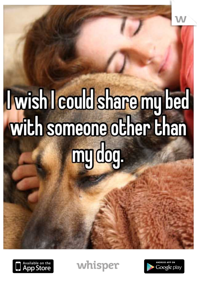 I wish I could share my bed with someone other than my dog.