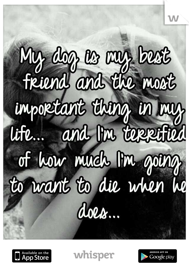 My dog is my best friend and the most important thing in my life...

and I'm terrified of how much I'm going to want to die when he does...