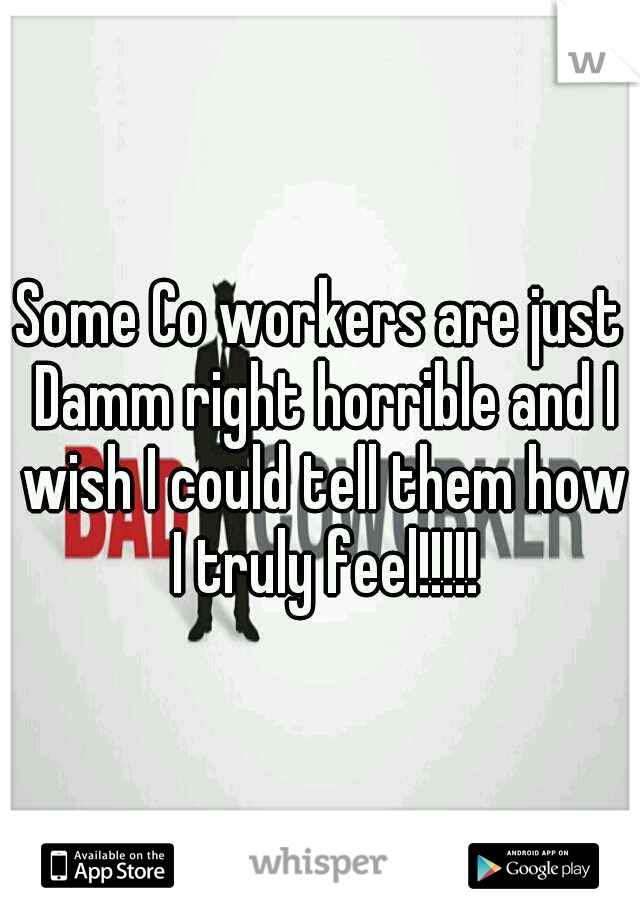 Some Co workers are just Damm right horrible and I wish I could tell them how I truly feel!!!!!