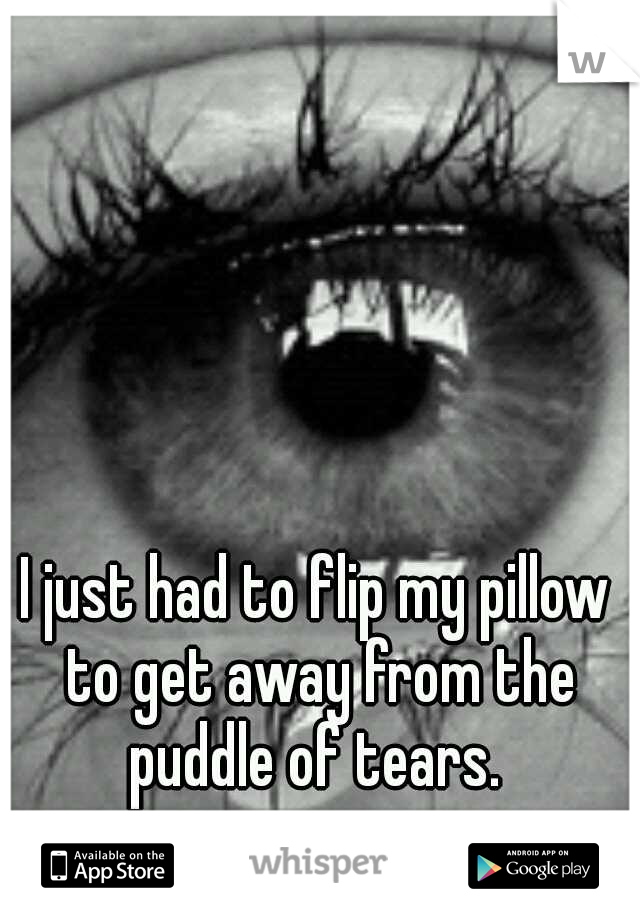 I just had to flip my pillow to get away from the puddle of tears. 