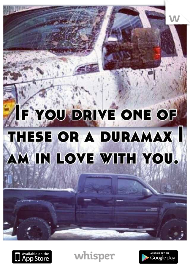 If you drive one of these or a duramax I am in love with you. 