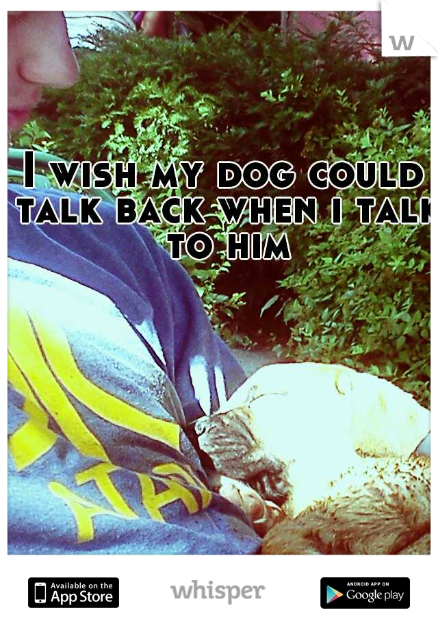I wish my dog could talk back when i talk to him