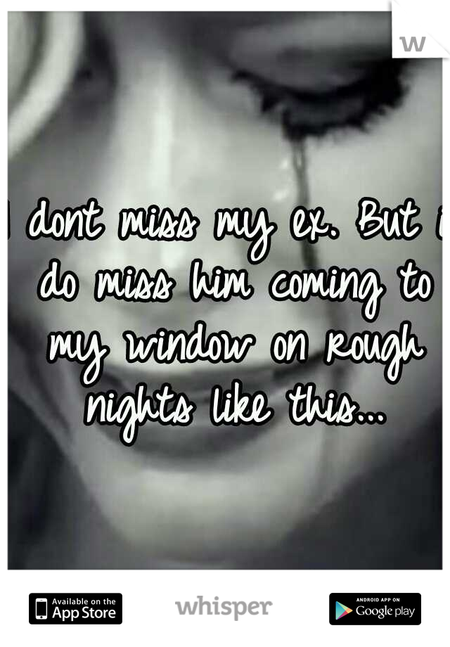 I dont miss my ex. But i do miss him coming to my window on rough nights like this...