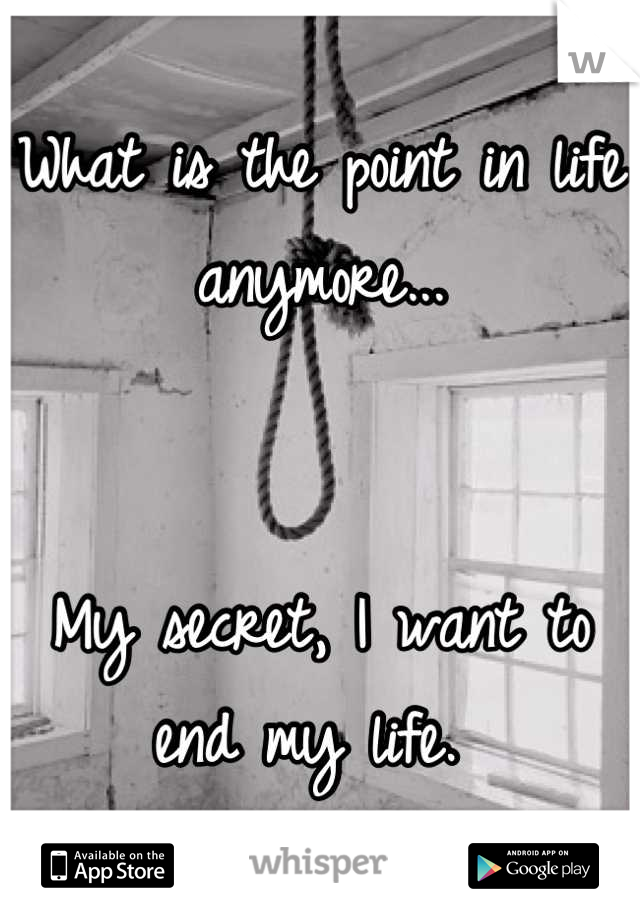 What is the point in life anymore...


My secret, I want to end my life. 