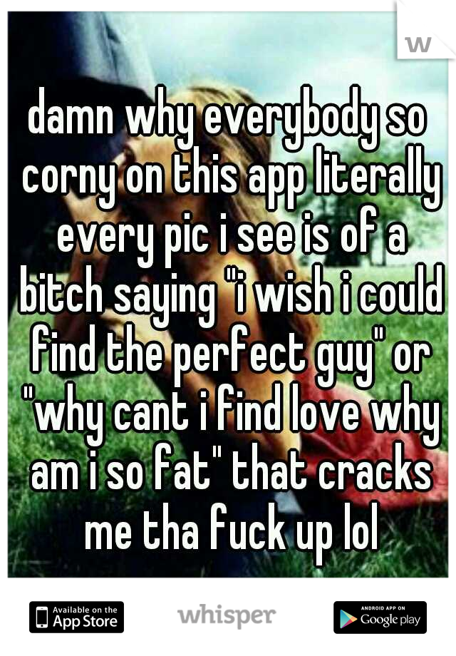 damn why everybody so corny on this app literally every pic i see is of a bitch saying "i wish i could find the perfect guy" or "why cant i find love why am i so fat" that cracks me tha fuck up lol