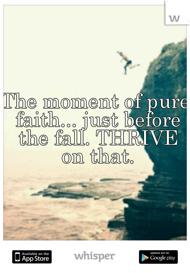 The moment of pure faith... just before the fall. THRIVE on that.