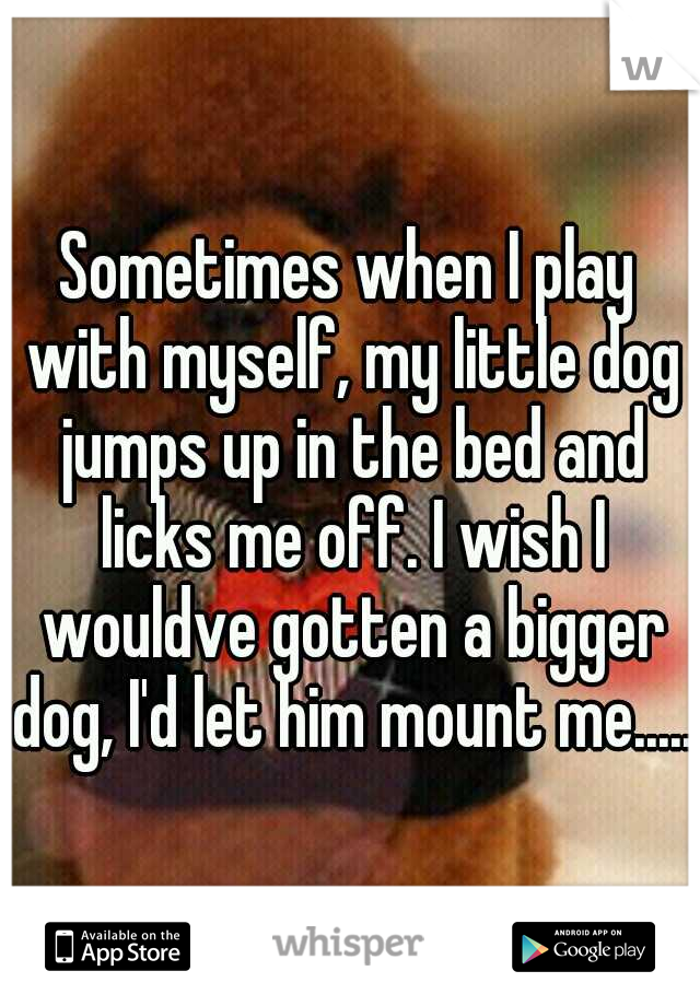 Sometimes when I play with myself, my little dog jumps up in the bed and licks me off. I wish I wouldve gotten a bigger dog, I'd let him mount me.....