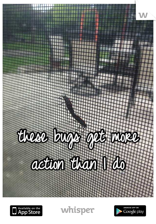these bugs get more action than I do
