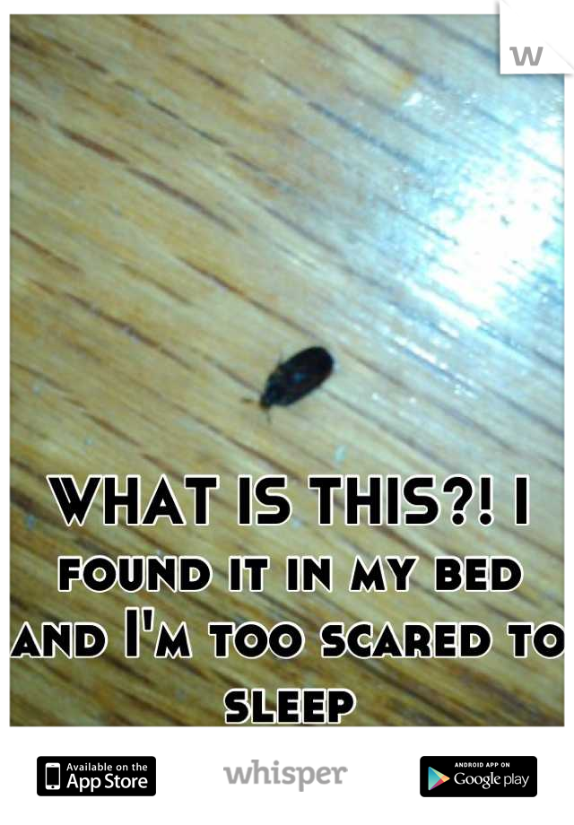 WHAT IS THIS?! I found it in my bed and I'm too scared to sleep