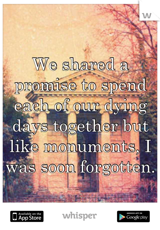 We shared a promise to spend each of our dying days together but like monuments, I was soon forgotten.