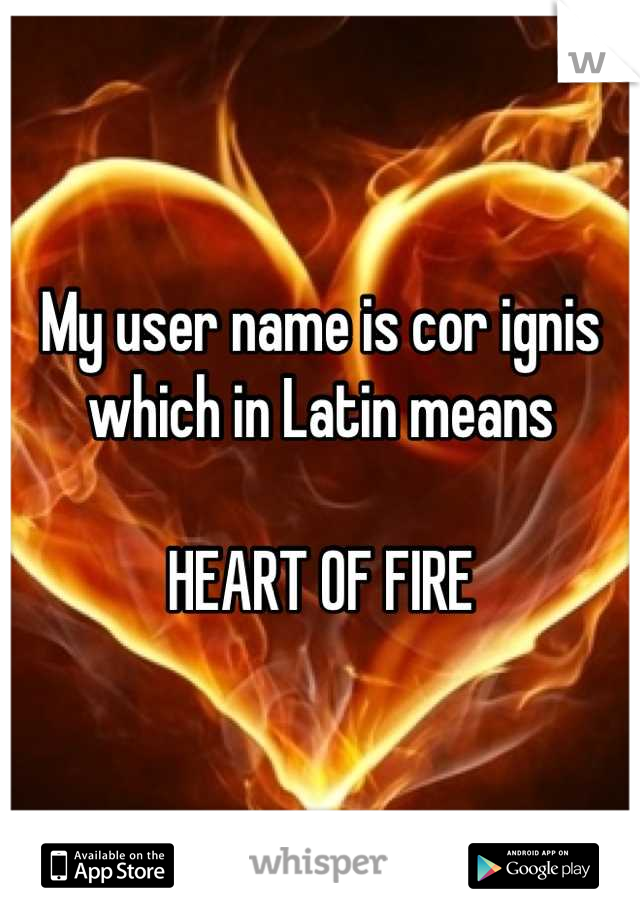 My user name is cor ignis which in Latin means 

HEART OF FIRE