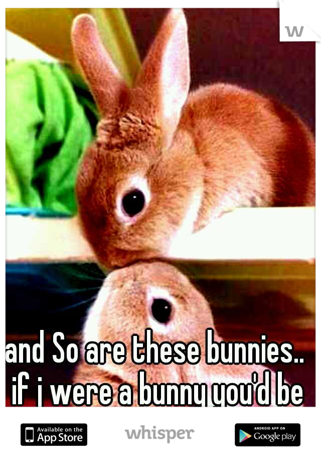 and So are these bunnies.. if j were a bunny you'd be my honey 