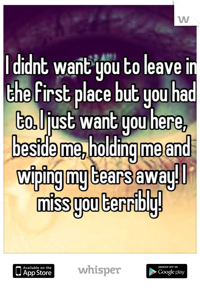 I didnt want you to leave in the first place but you had to. I just want you here, beside me, holding me and wiping my tears away! I miss you terribly! 