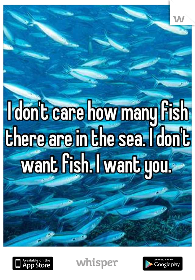 I don't care how many fish there are in the sea. I don't want fish. I want you. 