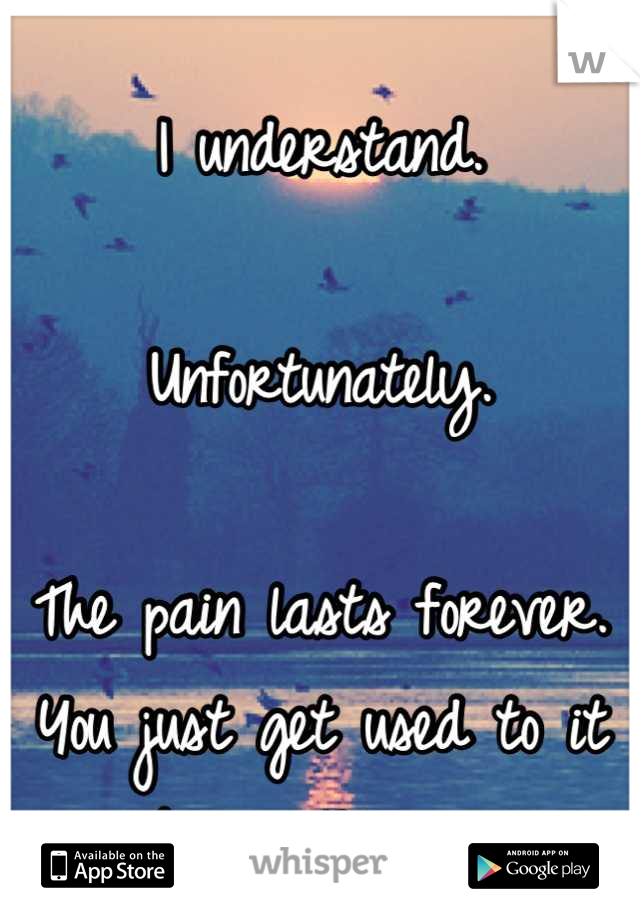 I understand. 

Unfortunately.

The pain lasts forever. You just get used to it being there. 