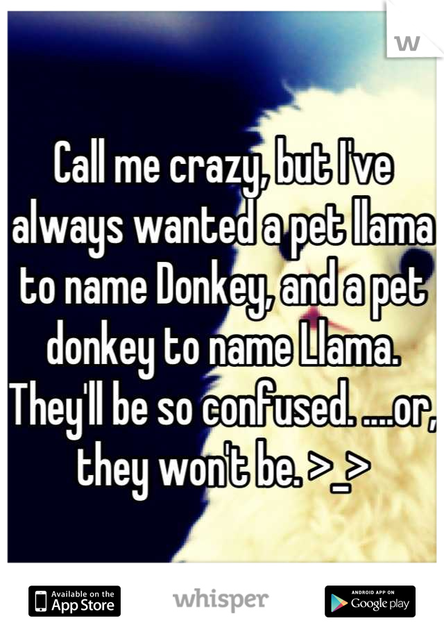 Call me crazy, but I've always wanted a pet llama to name Donkey, and a pet donkey to name Llama. They'll be so confused. ....or, they won't be. >_>