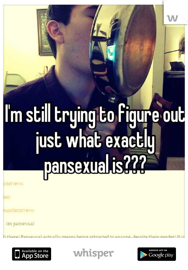 I'm still trying to figure out just what exactly pansexual is???