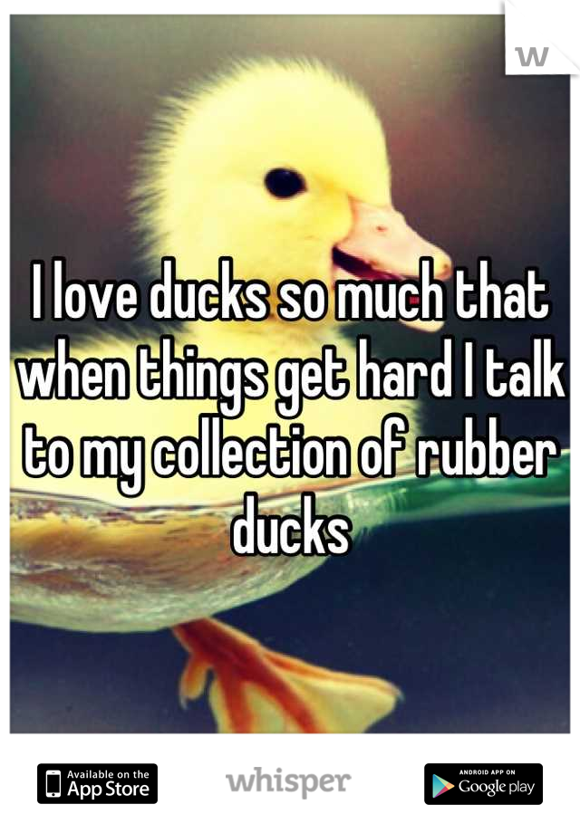 I love ducks so much that when things get hard I talk to my collection of rubber ducks