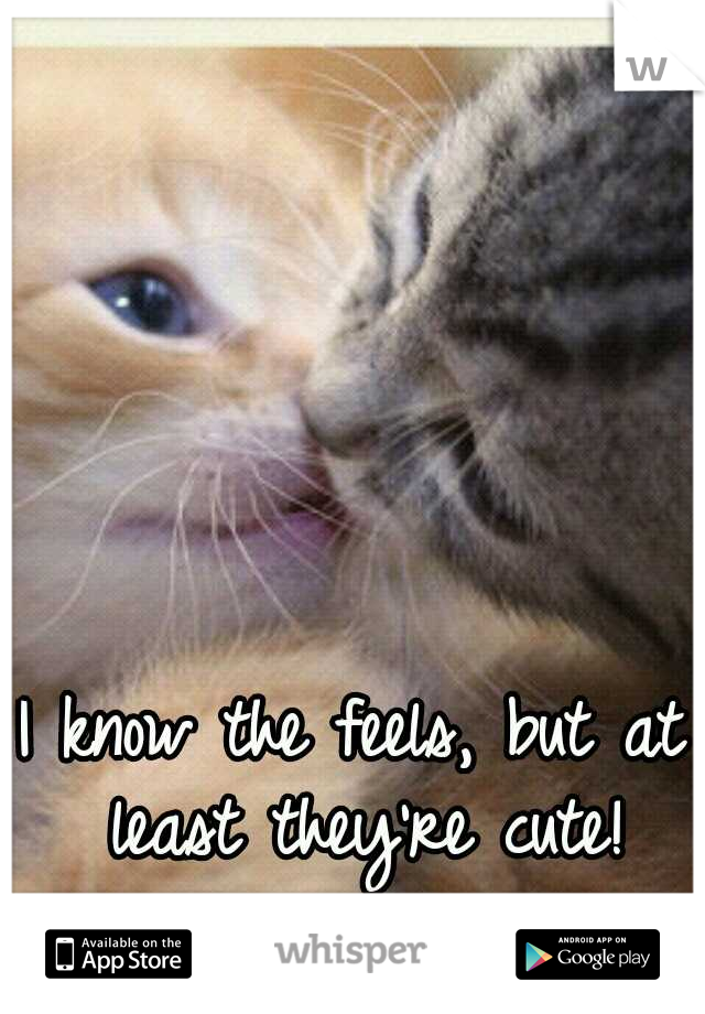 I know the feels, but at least they're cute!
