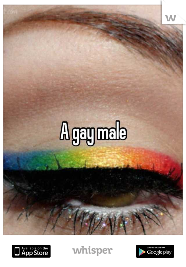 A gay male