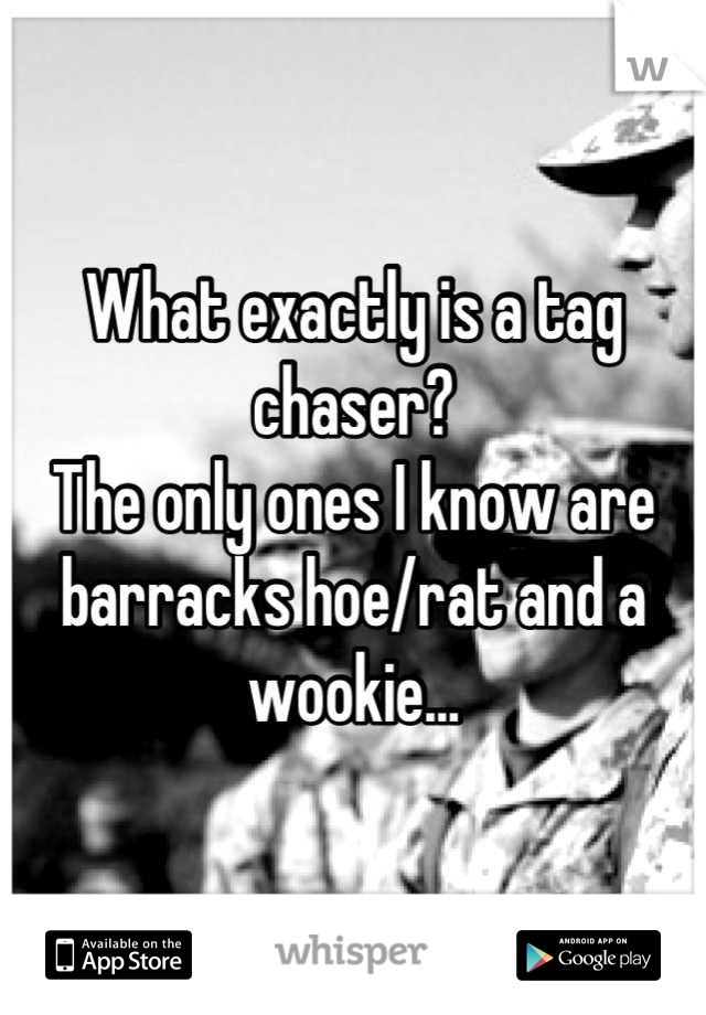 What exactly is a tag chaser? 
The only ones I know are barracks hoe/rat and a wookie...
