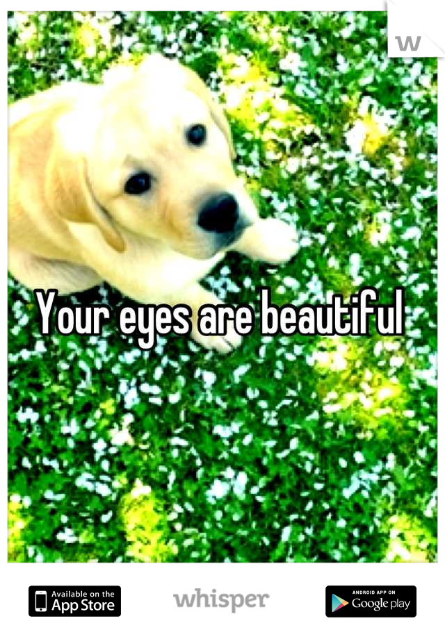 Your eyes are beautiful 

