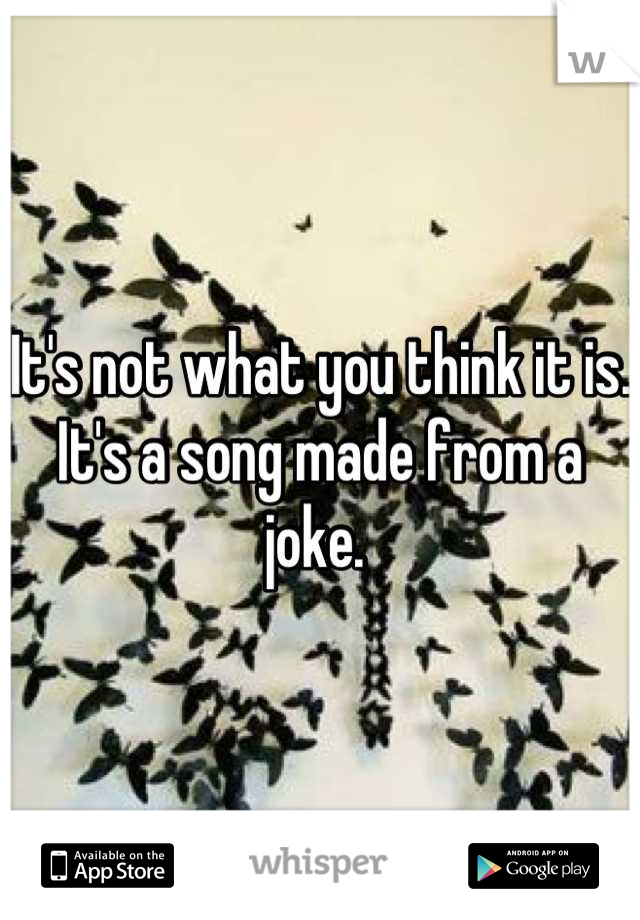 It's not what you think it is. It's a song made from a joke. 