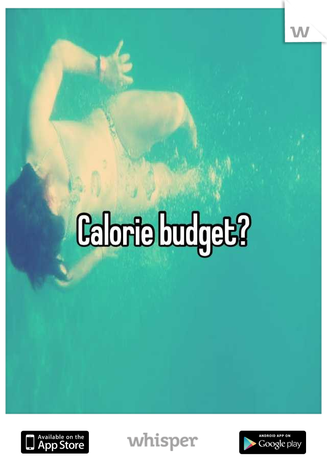 Calorie budget?